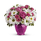 Teleflora’s Pink Daisy Delight